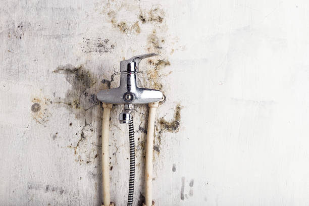 Home Mold Removal in Wickenburg, AZ